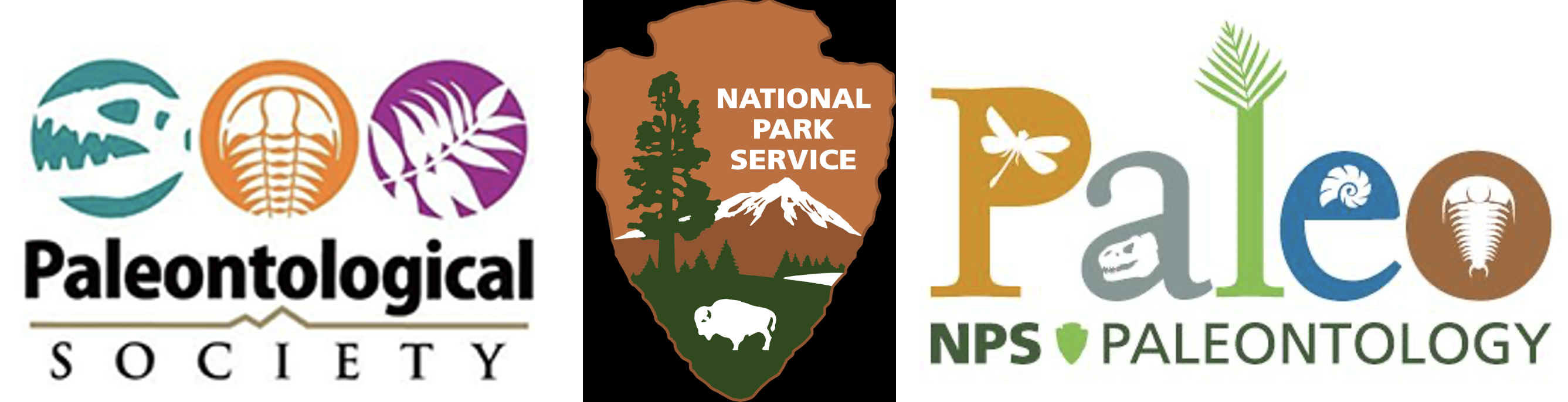 Paleontology in the Parks Fellowship Program